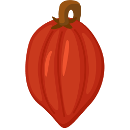 File:Cacao Fruit.png