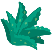 Crop Image
