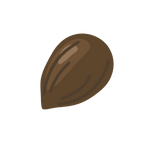 Seed Image