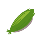 Seed Image