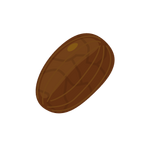 Seed Image