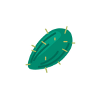 Seed Image