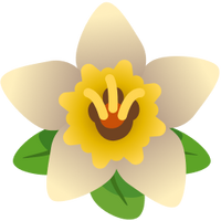 Crop Image