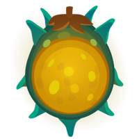 Crop Image