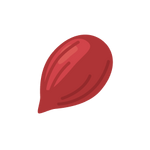 Seed Image