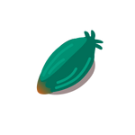 Seed Image