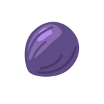 Seed Image