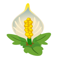 Crop Image