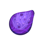 Seed Image