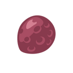 Seed Image