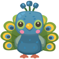 Pet Image