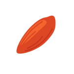Seed Image
