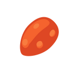 Seed Image