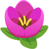 Crop Image
